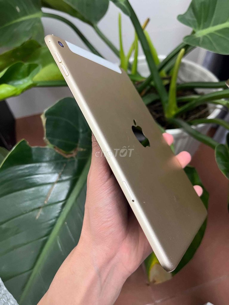 Фото 3: Apple iPad mini 4 32GB золотой wjfj 4G