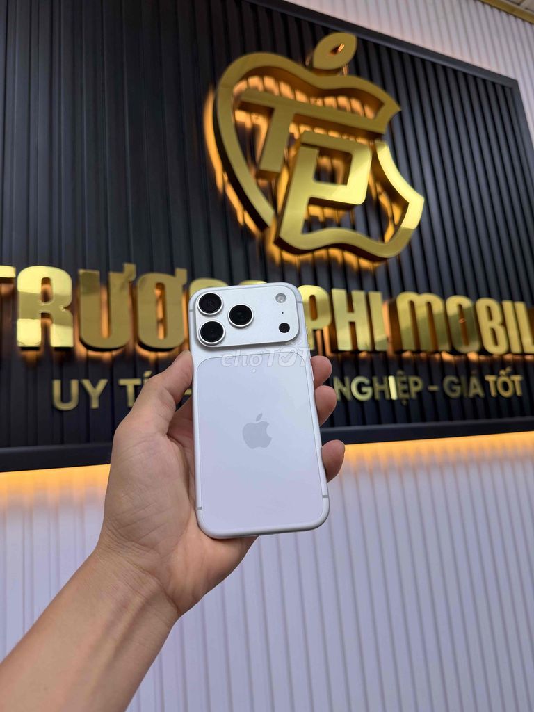 Фото 2: iPhone 17 Pro 256GB Серебристый международная версия