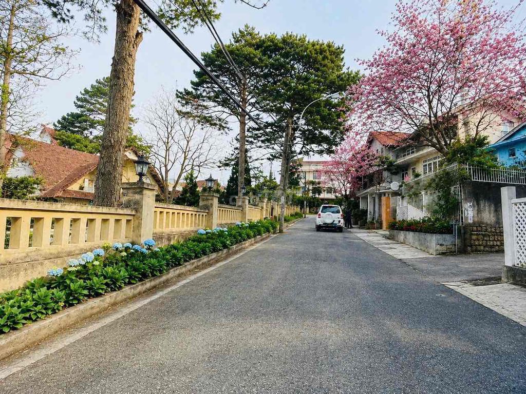 🏡Продажа виллы на дороге для автомобилей 6М - Самый престижный район Далата Ко Занг