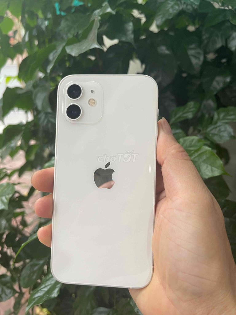 Apple iPhone 12 128GB Белый 100%