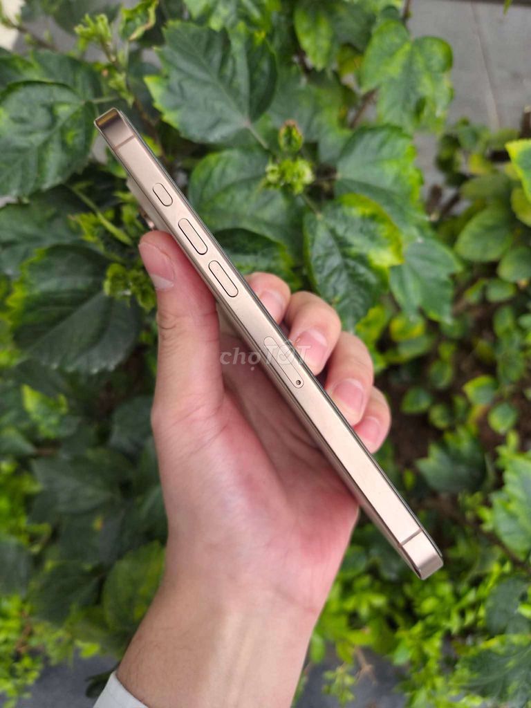 Фото 3: Apple iPhone 16 Pro 128Gb Пустынный золотой