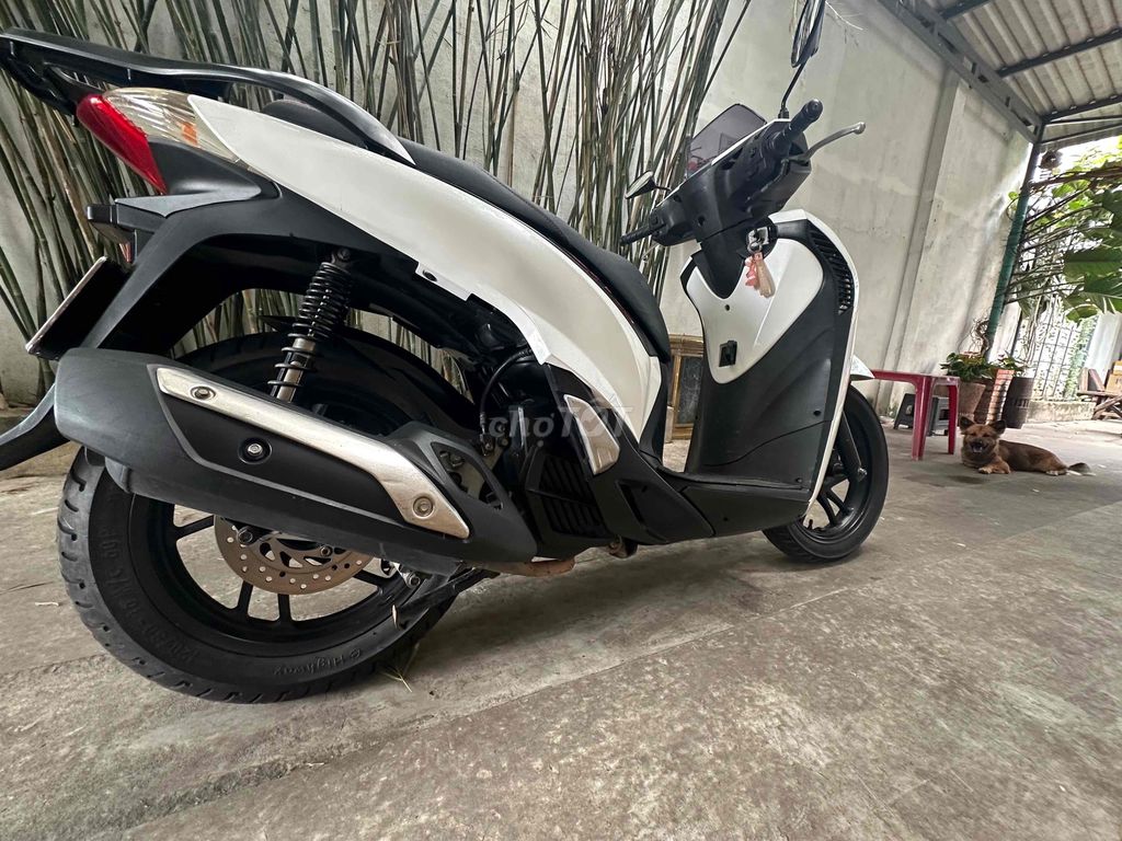 Фото 3: Honda SH 150i 2013 красивый