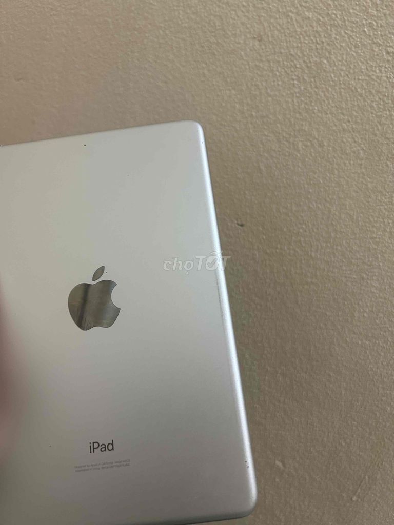 Apple iPad Mini 5 256GB Silver