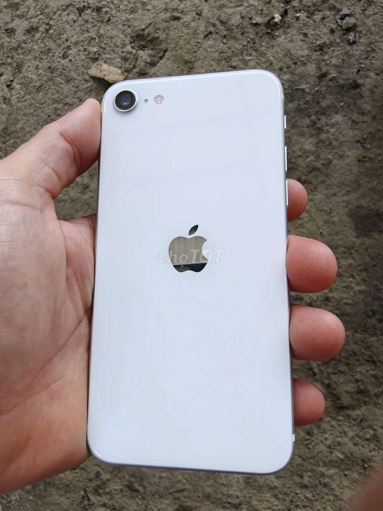 Фото 2: Apple iPhone SE 2020 64GB Белый 81%