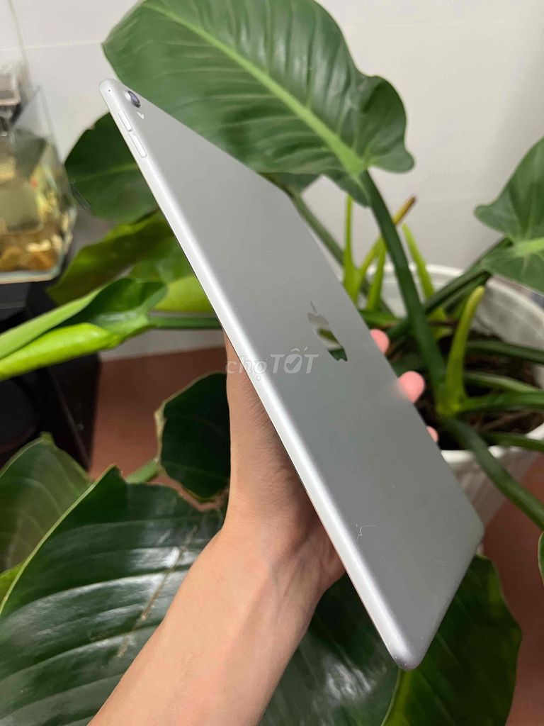 Фото 3: Apple iPad Pro 9.7 inch Wifi 128GB Silver