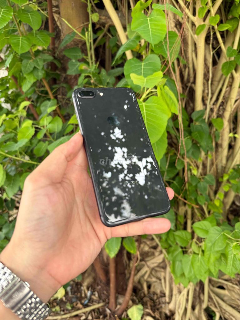 Apple iPhone 8 Plus 64GB Серый Б/У