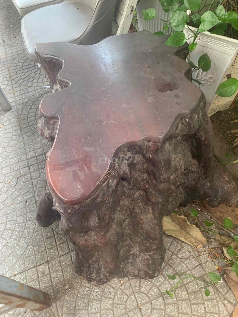 Садовая корневая чайная скамейка