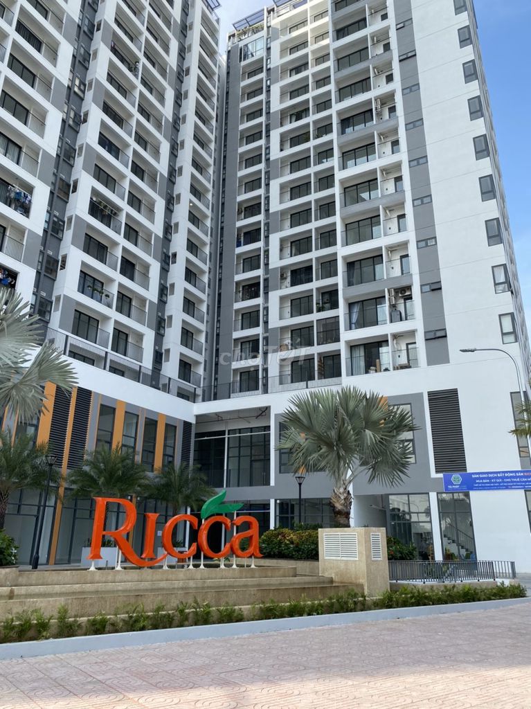 Аренда квартир в ЖК Ricca, сразу за Q9 рядом с Q2. Есть квартиры 1 спальня, 2 спальни, 3 спальни.