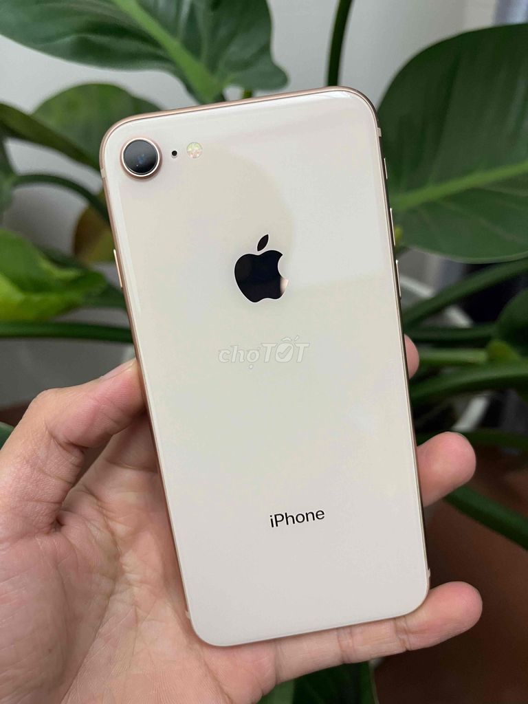iPhone 8 32GB Золотистый отличный