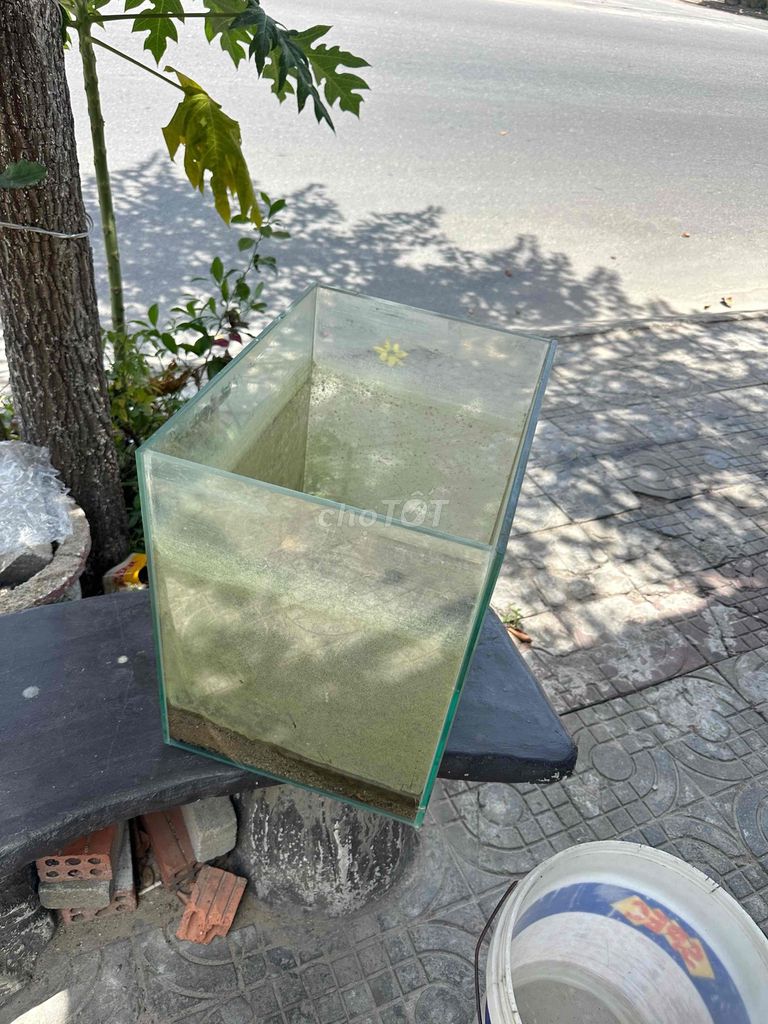 Прозрачный стеклянный аквариум
