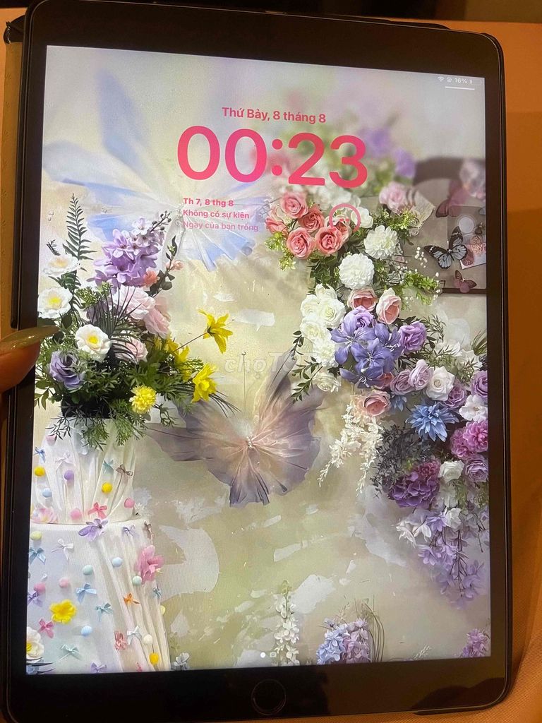 Apple iPad Pro 10.5 inch 64GB Серый