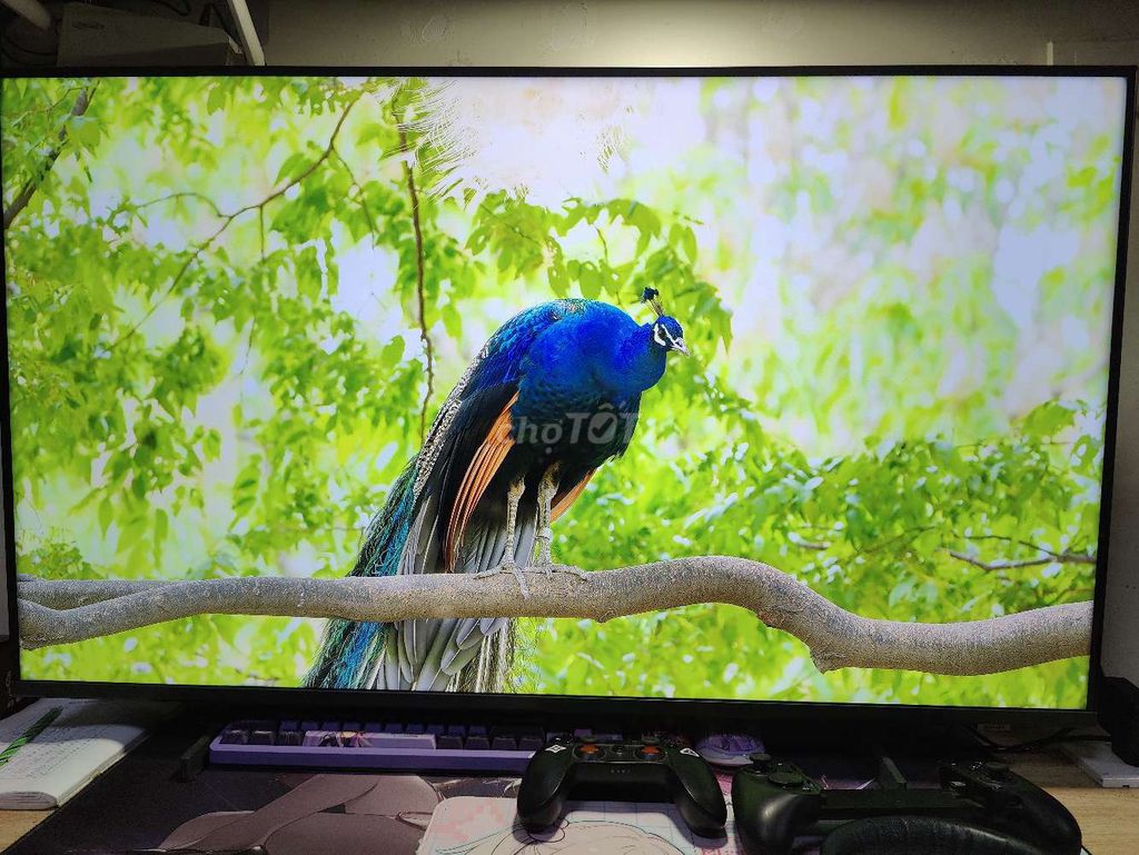 Телевизор Samsung UA43U8550F