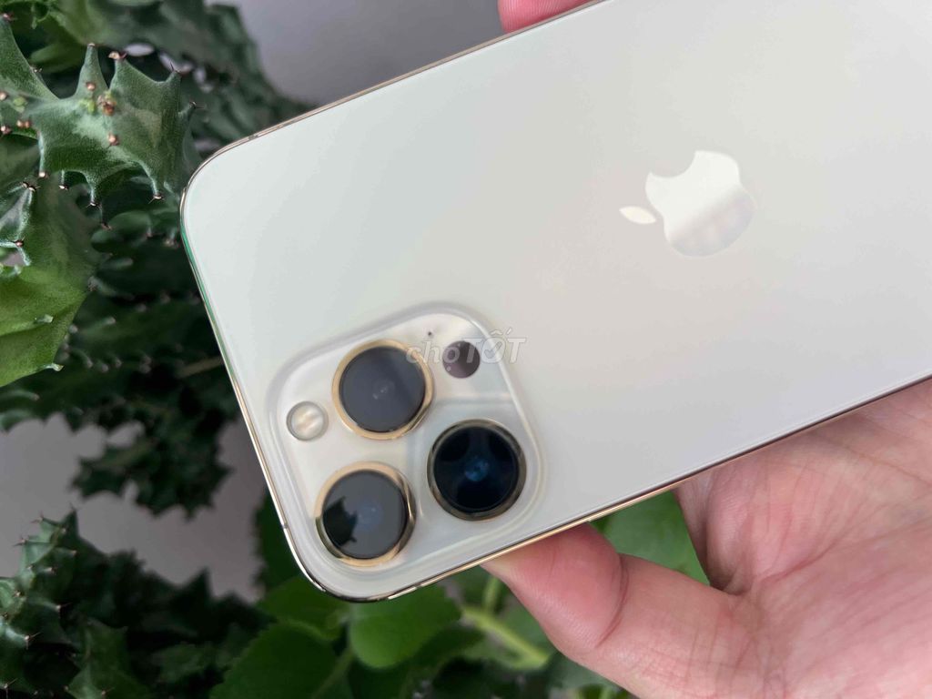 Фото 2: Apple iPhone 13 Pro Max 128GB Золотой