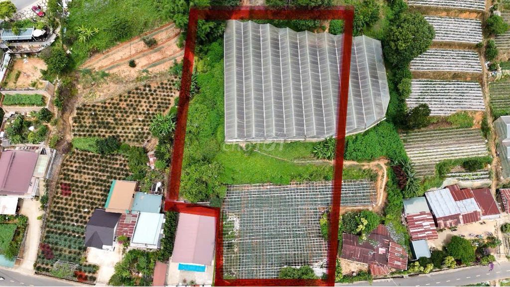 Фото 2: Đất Mặt Tiền Đường Đa Phú, Phường Lang Biang - Đà Lạt - Lâm Đồng