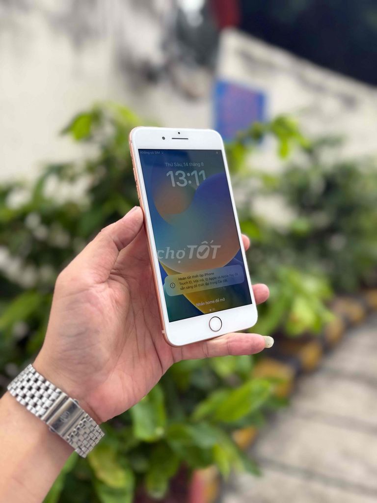 Apple iPhone 8 Plus 64GB Золотой, б/у