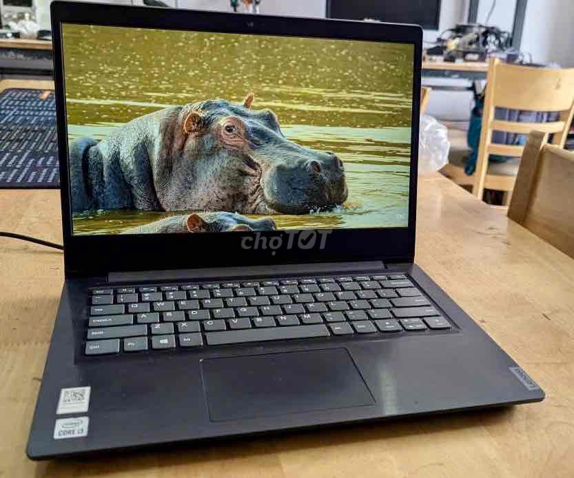Ноутбук Lenovo подходит для школьников, студентов и офиса