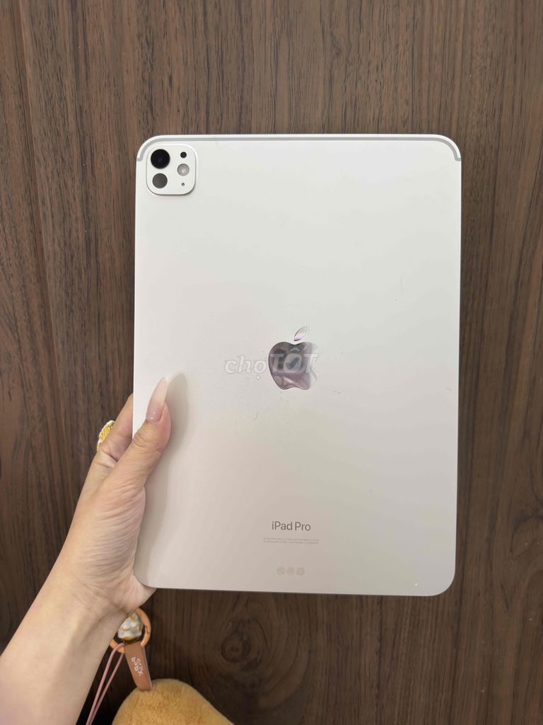 Apple iPad Pro M4 11-inch 256GB Wifi M4