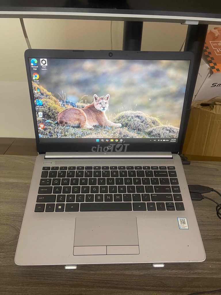 HP 245 G8 R5 5500U 6 ядер, ОЗУ 16 ГБ, накопитель 256 ГБ