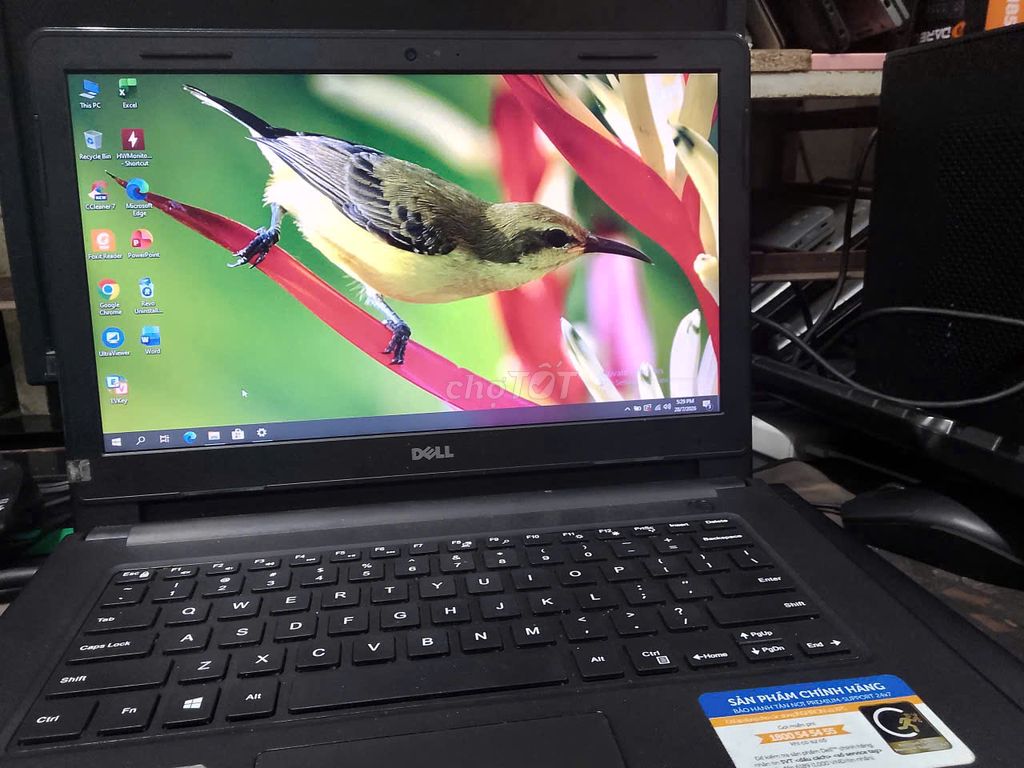 Ноутбук Dell i3 th6, RAM DDR4 8 ГБ 2400 МГц, SSD 128 ГБ
