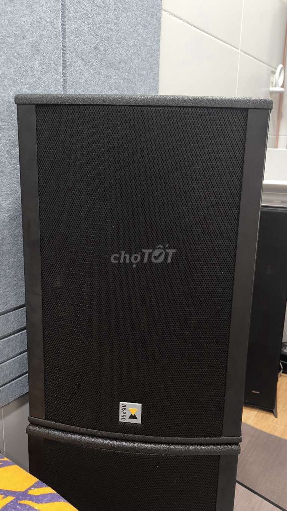 Фото 3: Колонки DX-PRO V-12MKII черные 450W 8Ω