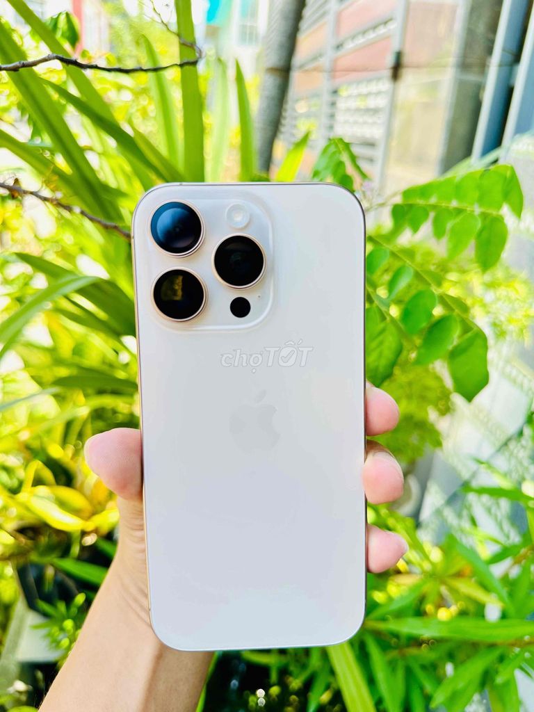 Фото 2: Apple iPhone 16 Pro 256GB Gold VN/A zin giá rẻ
