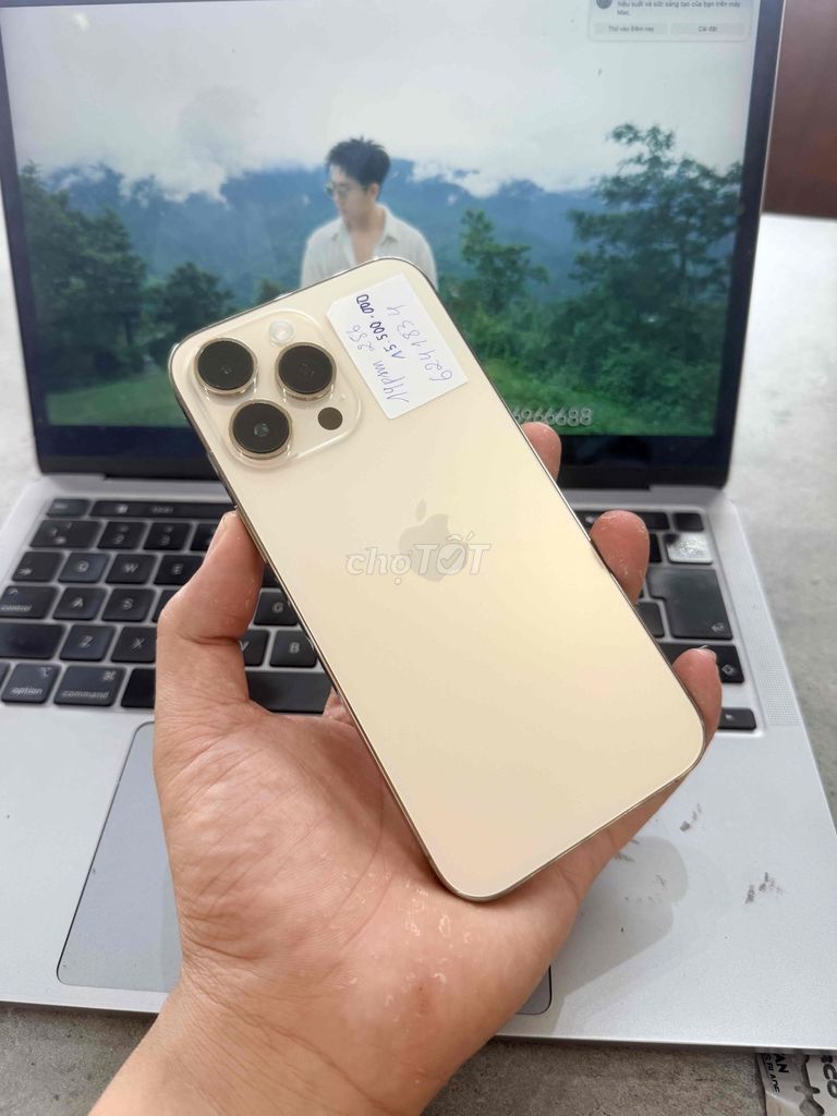 Apple iPhone 14 Pro Max 256GB Золотой