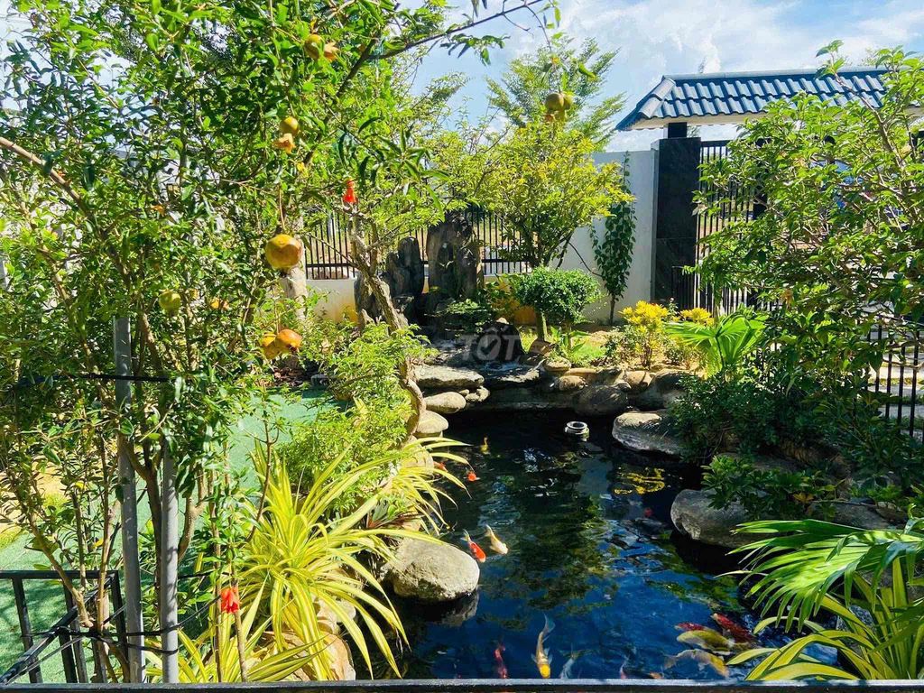 Фото 3: NC - CHO THUÊ VILLA SÂN VƯỜN 2PN KHU HOÀ QUÝ