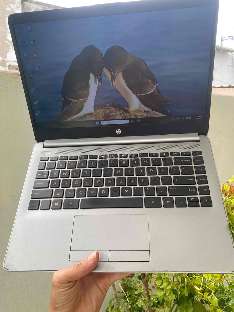 Фото 2: HP 245 G8 Ryzen 5 3500U 14 inch 8GB/256GB