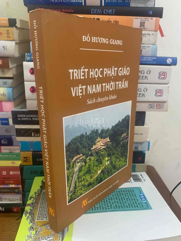 Книга по философии вьетнамского буддизма эпохи Чан