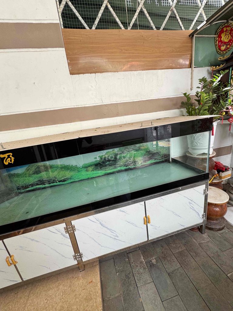 Фото 2: Аквариум из стекла, металл