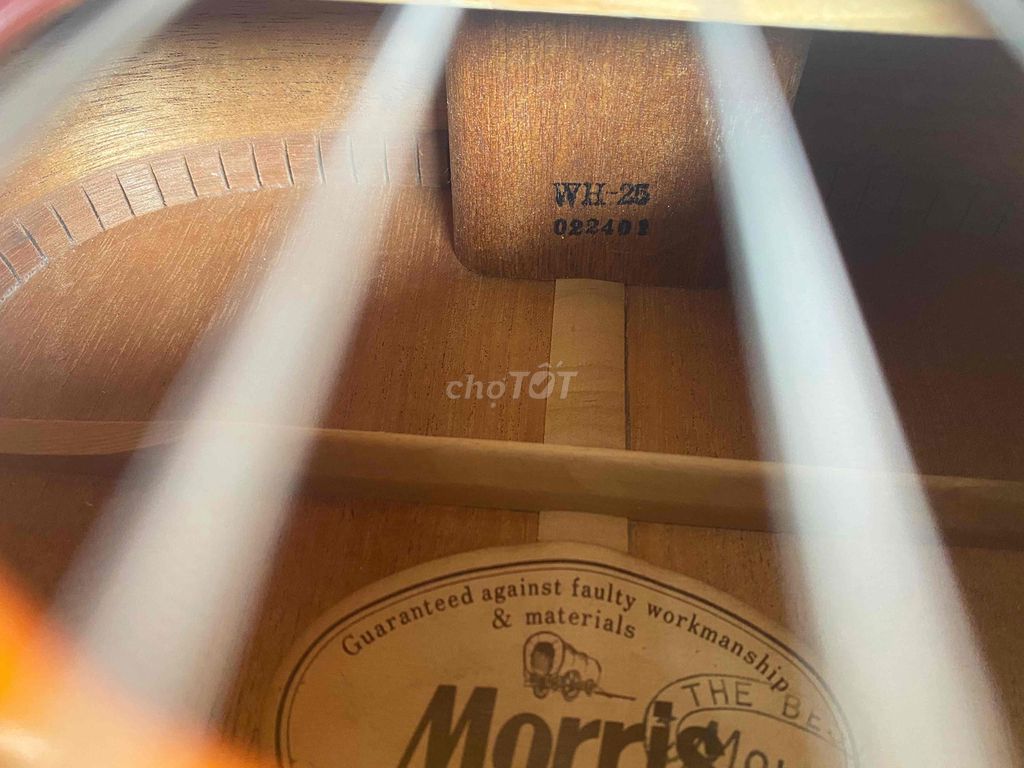 Фото 3: morris WH-25
