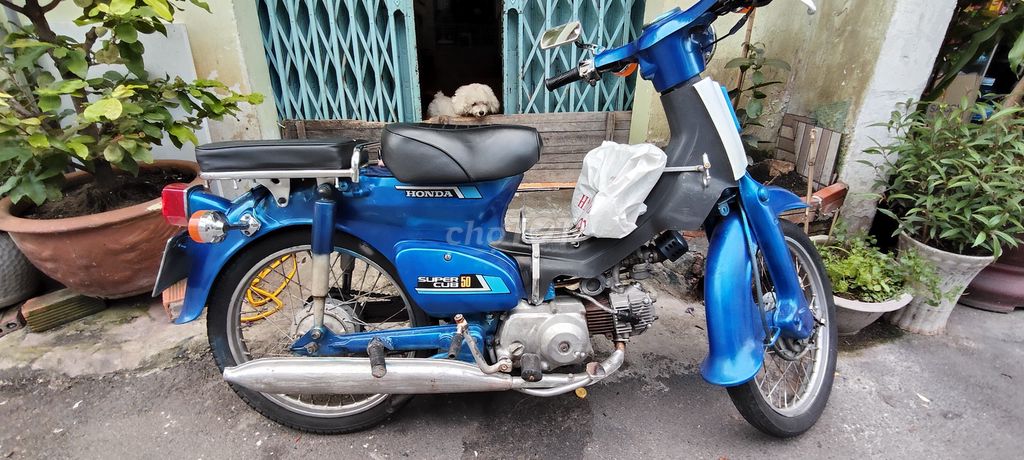 Honda Super Cub 50 Xanh
