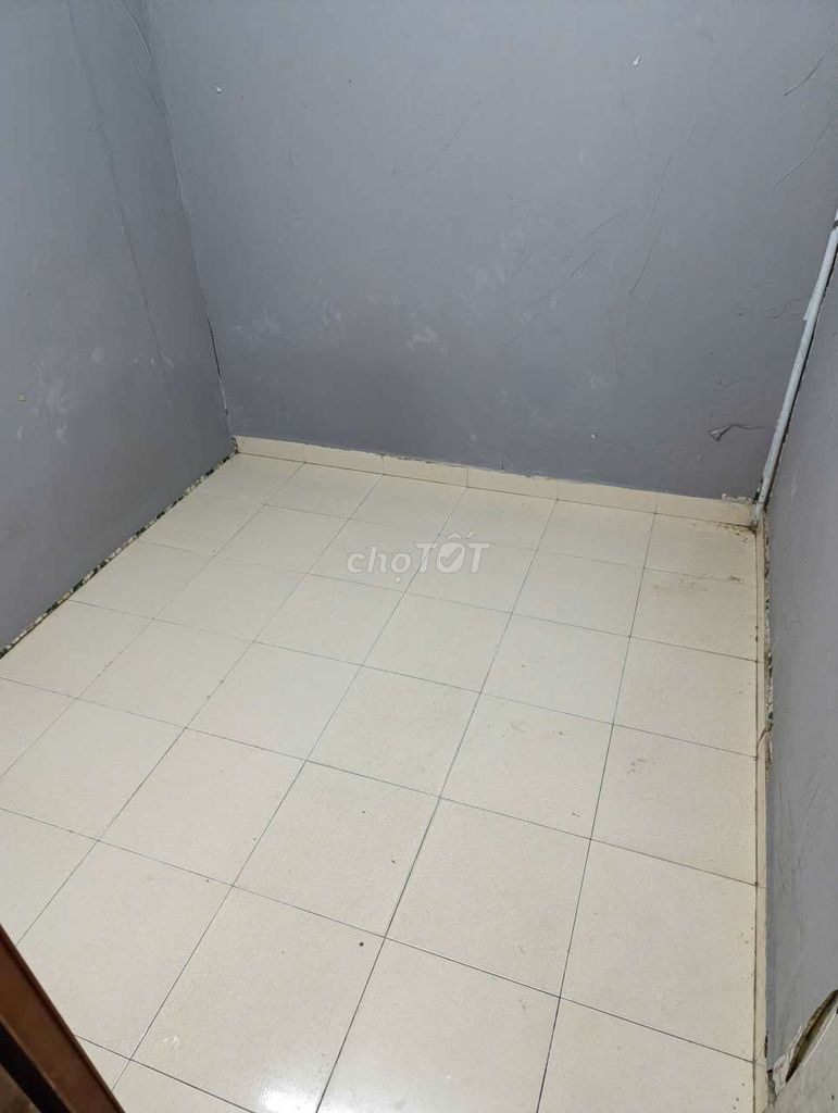 Комната в аренду 10–16 м², Nguyễn Tri Phương, квартал 5, район 5