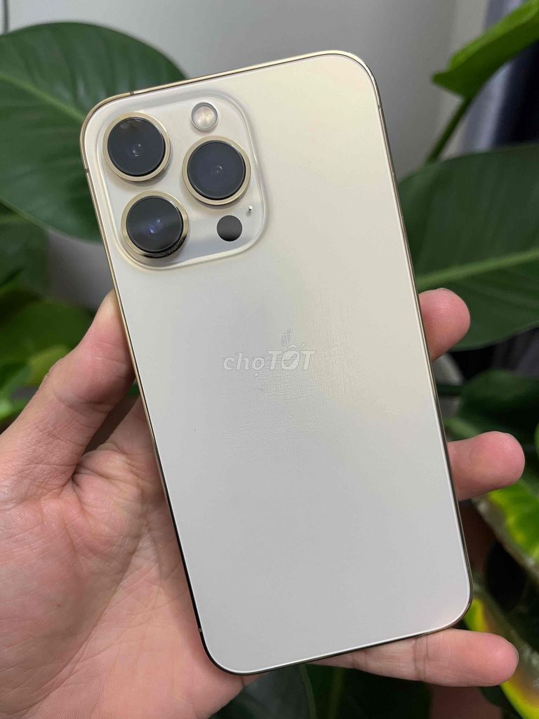 iPhone 13 Pro 128GB золотой