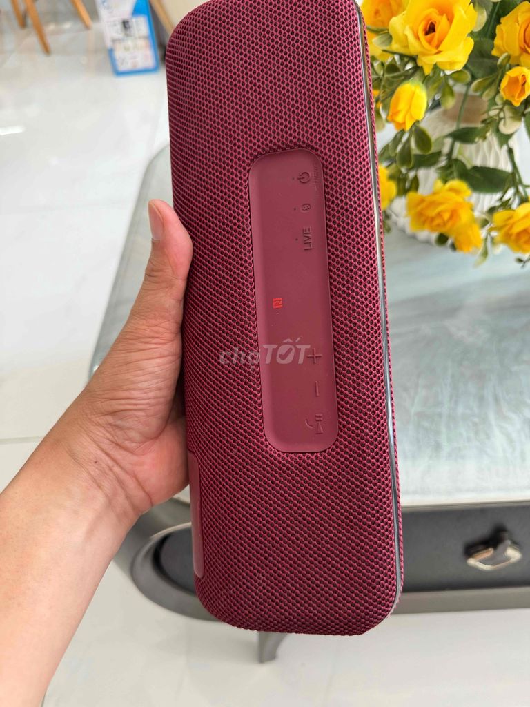 Фото 3: Bluetooth-колонка Sony SRS-XB41 красная, водонепроницаемая IP67