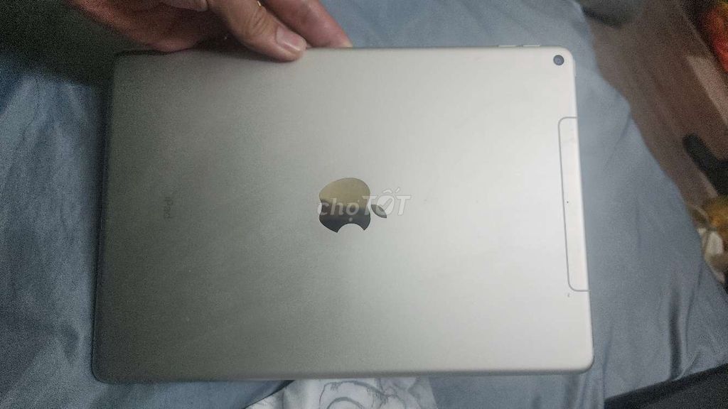 Фото 2: Apple iPad Air 3 серебристый корпус