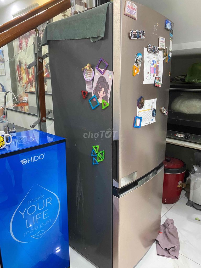 Фото 2: Холодильник Electrolux EBB3200GG 315L коричневый, Таиланд