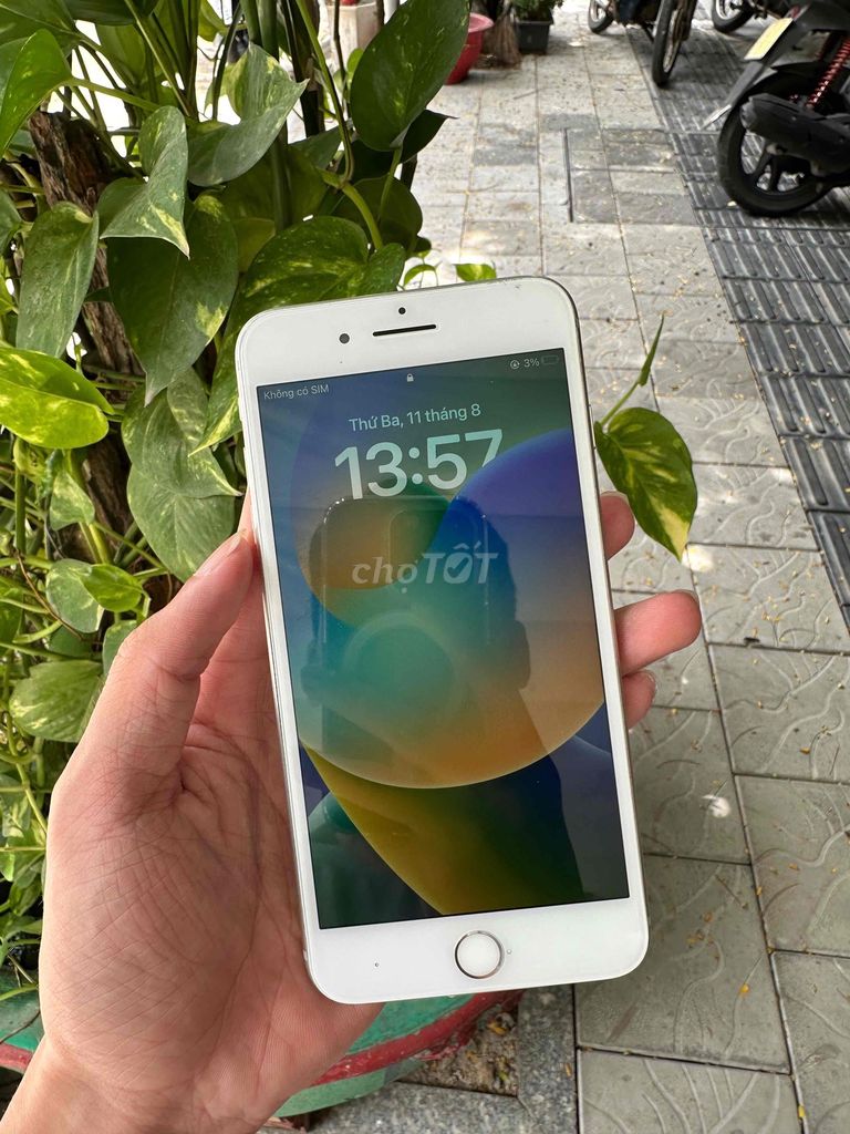 Apple iPhone 8 Plus Белый