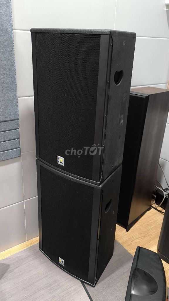 Фото 2: Колонки DX-PRO V-12MKII черные 450W 8Ω