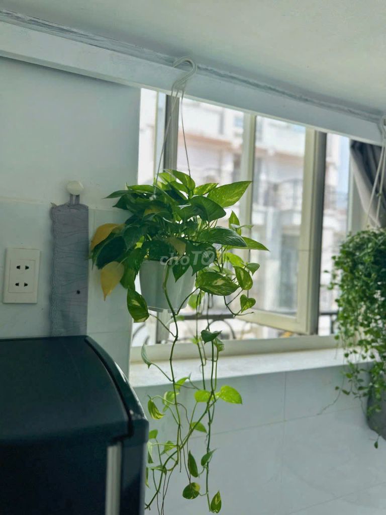 Фото 3: DUPLEX БАНКОН - ОКНО ПРОВЕТРИВАЕТСЯ СРАЗУ НА ЗЫОНГ КУАНГ ХАМ - РЯДОМ С EMART PVT