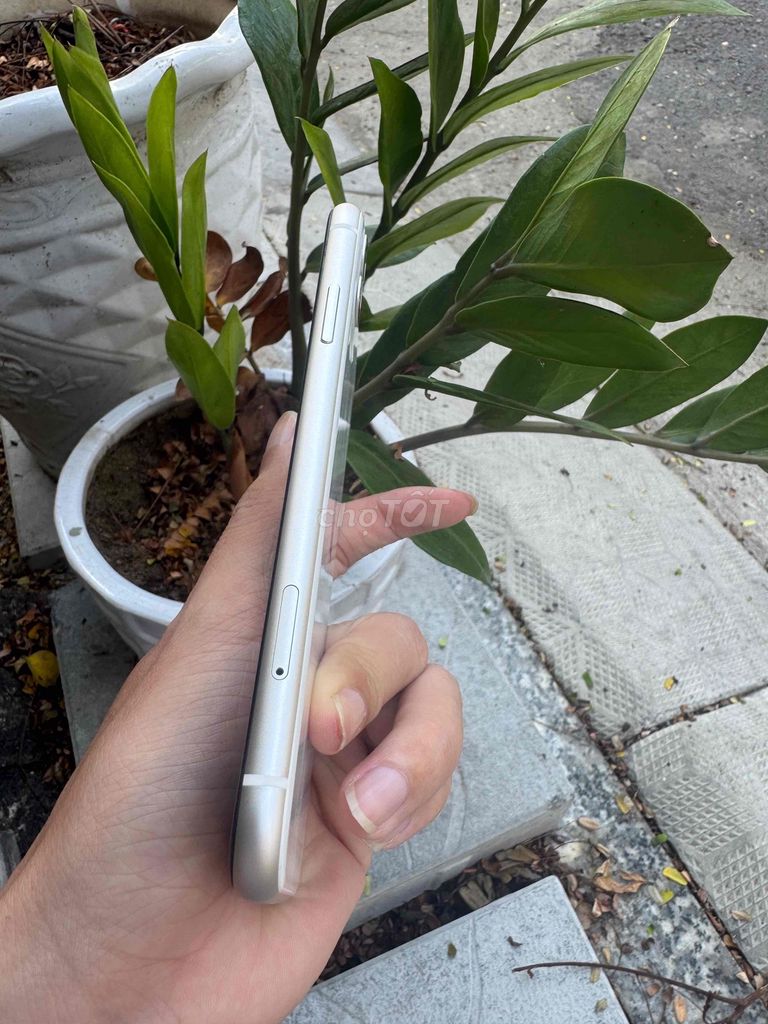Фото 2: Xiaomi 11T 64GB Белый