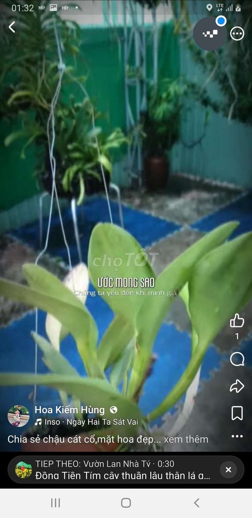 Фото 2: Горшок из древнего песка, зелёный с жёлтыми листьями