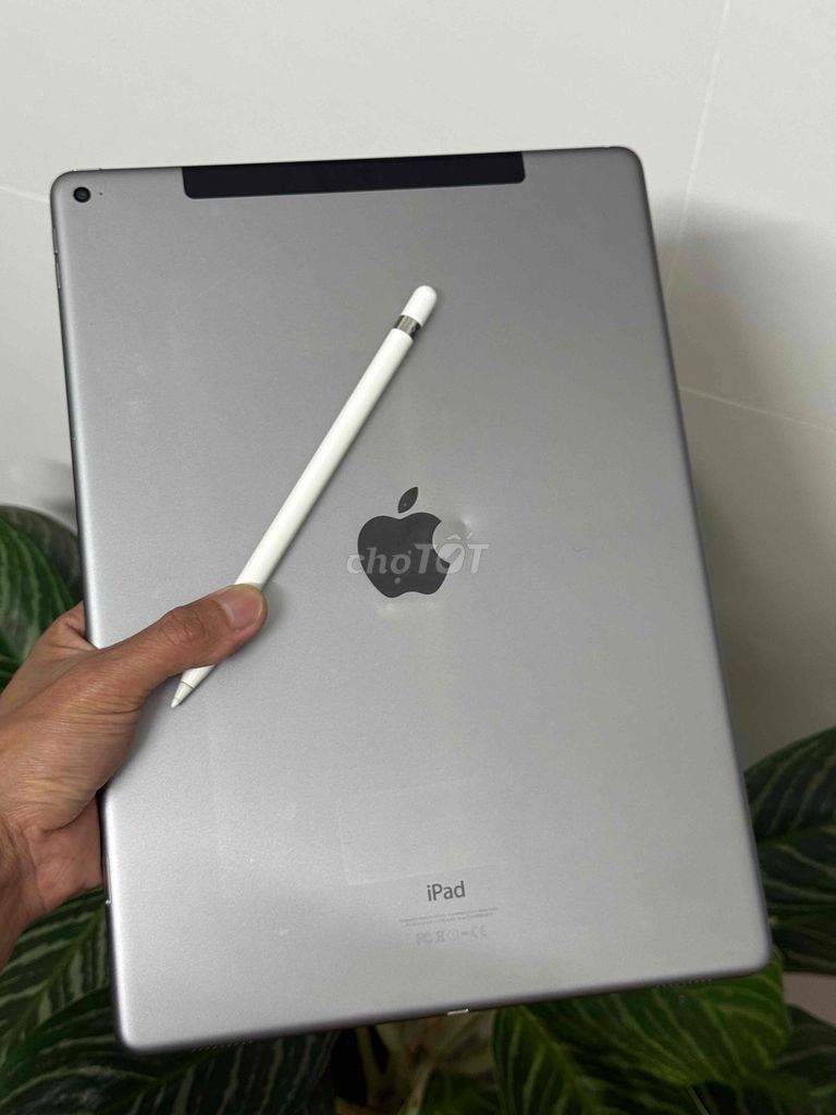 Apple iPad Pro 12.9 дюймов Wi-Fi 4G 128 ГБ Серый