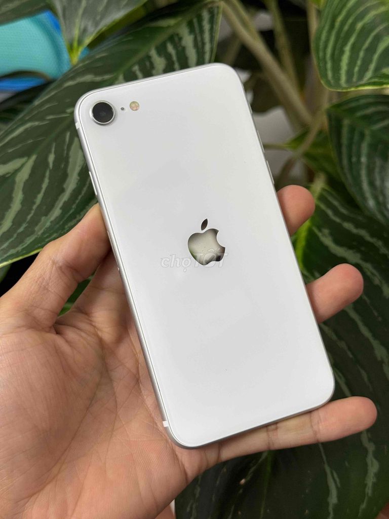 Apple iPhone SE2 64GB Белый
