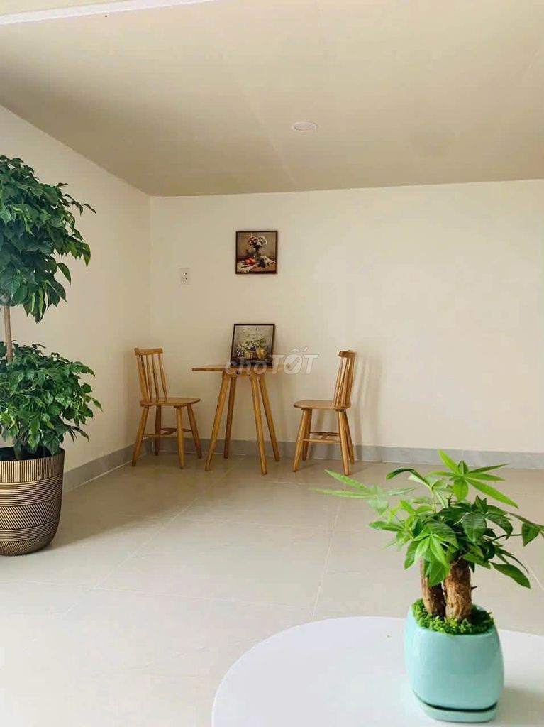 Аренда Duplex Донг Кхоа 7, Нгу Хань Шон, 5.5 млн
