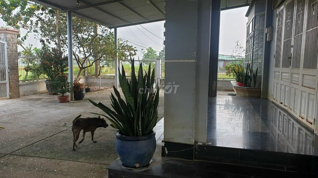 Фото 2: 🏭 CHÍNH CHỦ CHO THUÊ NHÀ XƯỞNG & KHO BÃI 1.306m² TẠI CỦ CHI