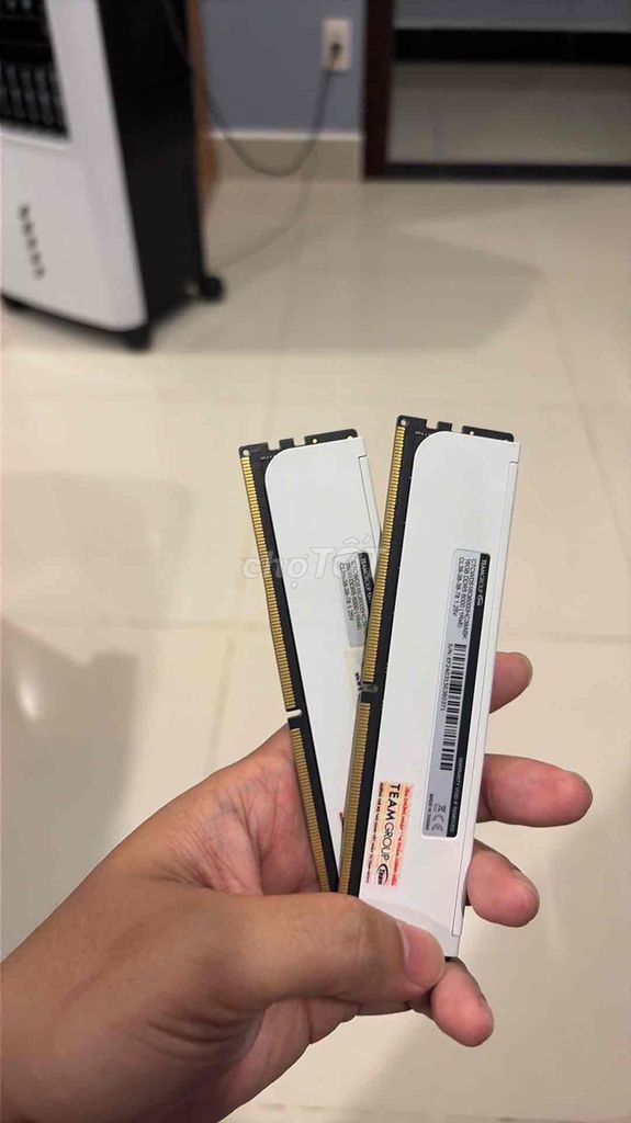 Фото 2: T-Create Expert DDR5 6000MHz 32GB