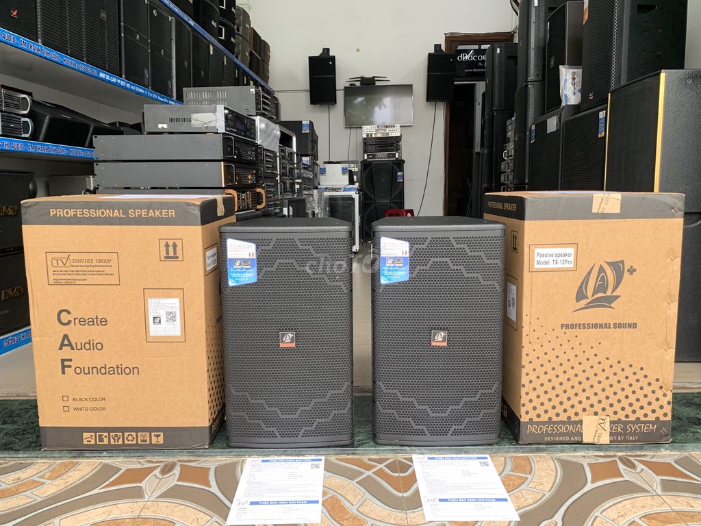 Премиальная акустическая система CAF TX-12Pro — элитная, оригинальная, импортная