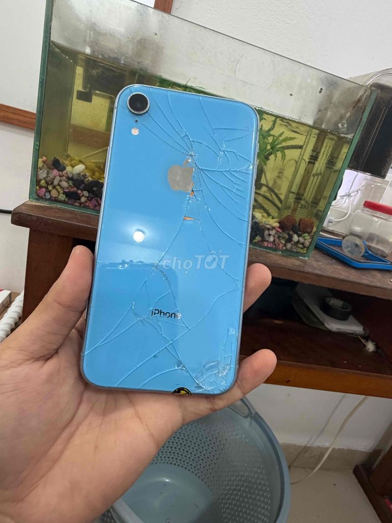 iPhone XR 64GB, mất Face ID, vỏ xấu