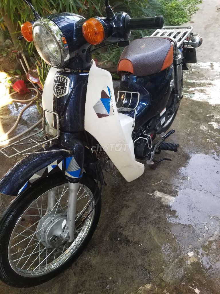 Honda Cub 2024 сине-белый